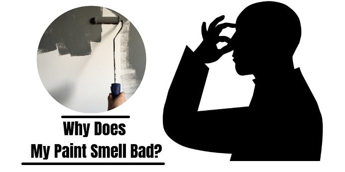 What Makes Paint Smell